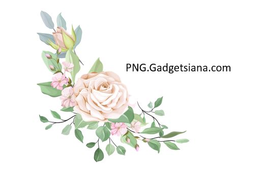 ornament bunga png