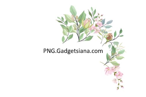 ornament bunga png