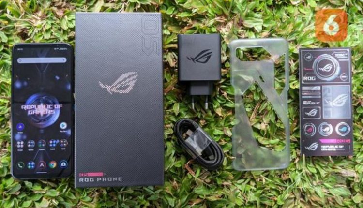 Asus ROG Phone 5